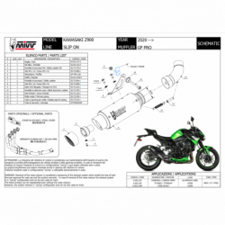 MIVV GP Pro Rvs Kawasaki Z 900 20-22