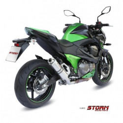Storm by MIVV GP Kawasaki Z...