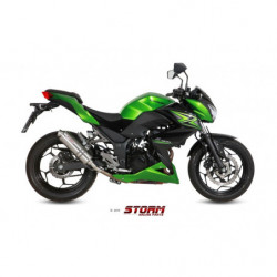 Storm by MIVV GP Kawasaki...