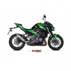 Storm by MIVV GP Kawasaki Z...