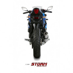 Storm by MIVV GP SUZUKI GSX 250 R 2017