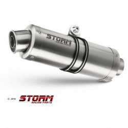 Storm by MIVV GP BMW G 310 GS 17-