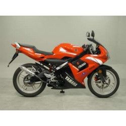 Giannelli Uitlaat Yamaha...