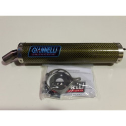 Giannelli Uitlaat Honda NSR...