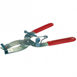 Buzzetti piston ring...