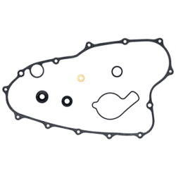 Sixty5 Water pump repair...