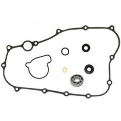 Sixty5 Water pump repair...