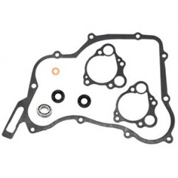 Sixty5 Water pump repair...