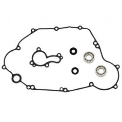 Sixty5 Water pump repair...