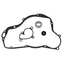 Sixty5 Water pump repair...