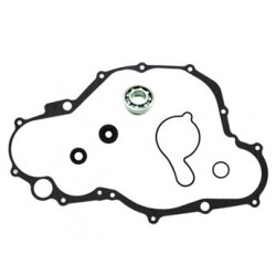 Sixty5 Water pump repair...