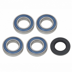 Sixty5 Wheel Bearing Kit -...
