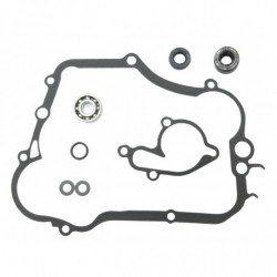 Sixty5 water pump repair...